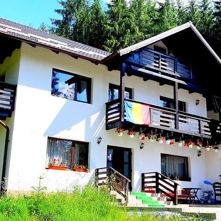 Pensiunea Vatra Bucovinei Vatra Moldoviţei Extérieur photo