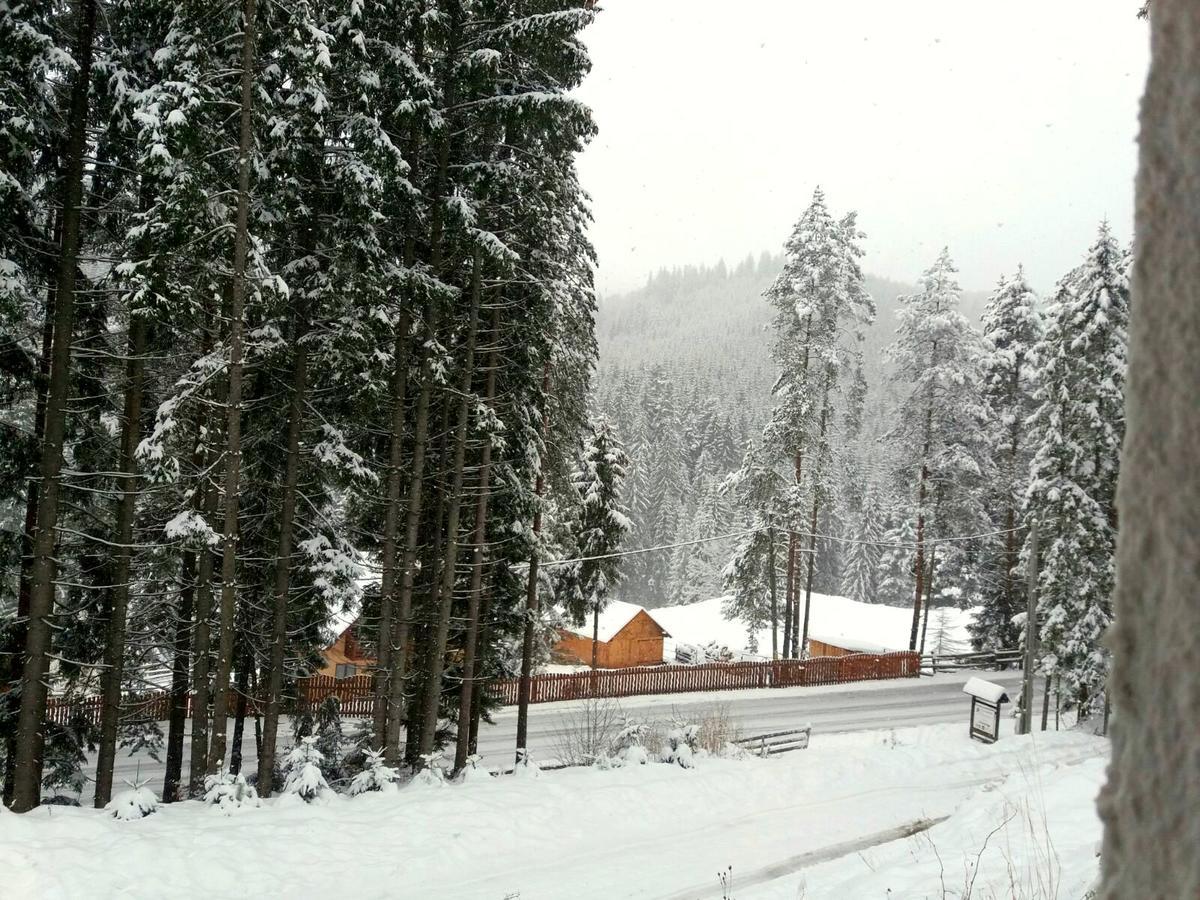 Pensiunea Vatra Bucovinei Vatra Moldoviţei Extérieur photo