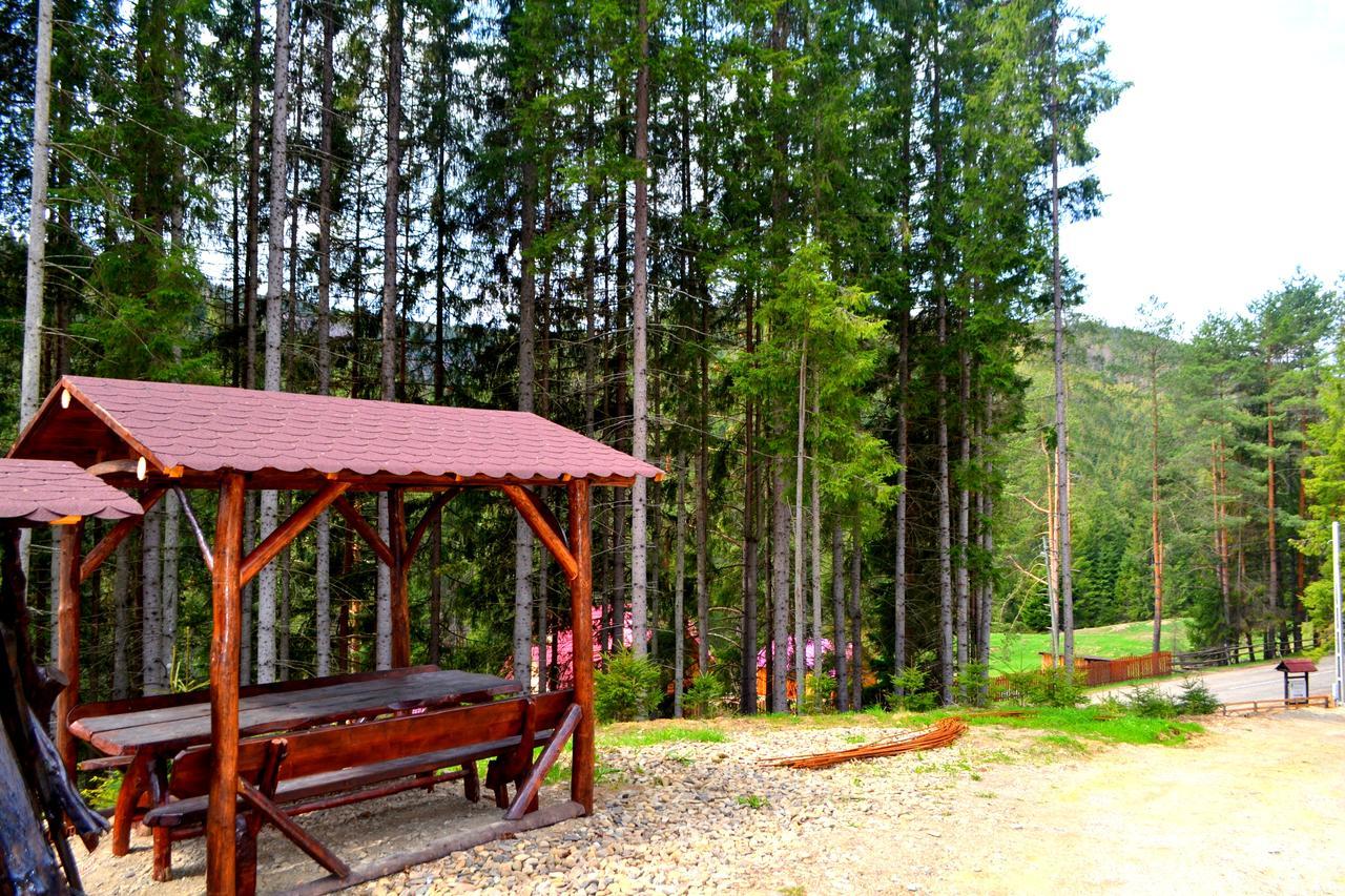 Pensiunea Vatra Bucovinei Vatra Moldoviţei Extérieur photo