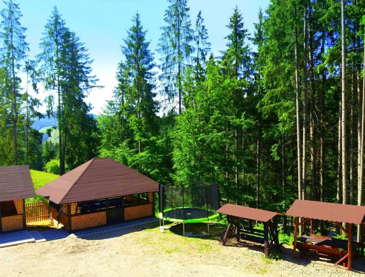 Pensiunea Vatra Bucovinei Vatra Moldoviţei Extérieur photo