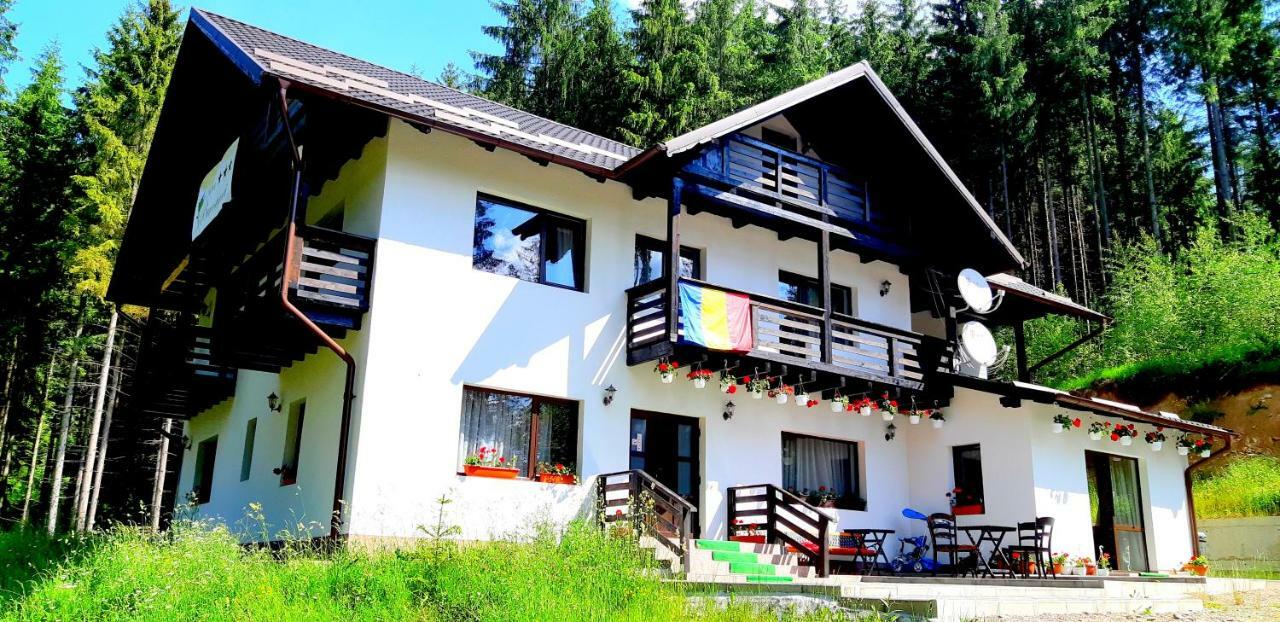Pensiunea Vatra Bucovinei Vatra Moldoviţei Extérieur photo